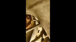 Стук сайлентблоков переднего рычага! Как услышать?!