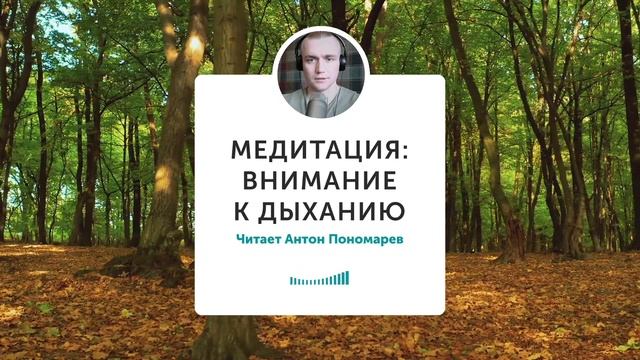 Аудио-медитация: Внимательность к дыханию смотреть онлайн