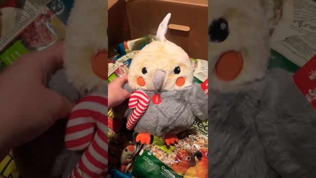 Крутая Корелла игрушка?Покупки из зоомагазина для попугаев смотреть онлайн