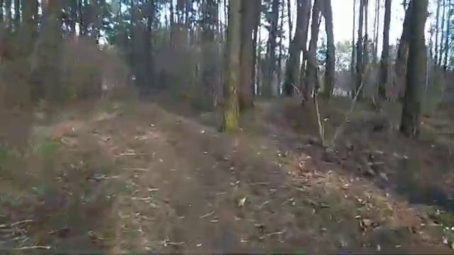 Лесок в Печах освободили от мусора смотреть онлайн