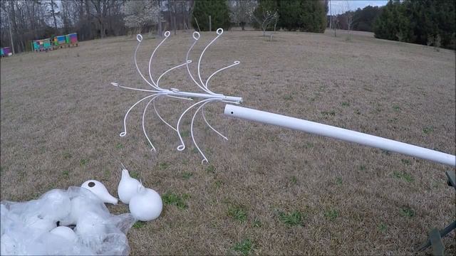 Purple martin pole and house setup in Darlington, SC смотреть онлайн