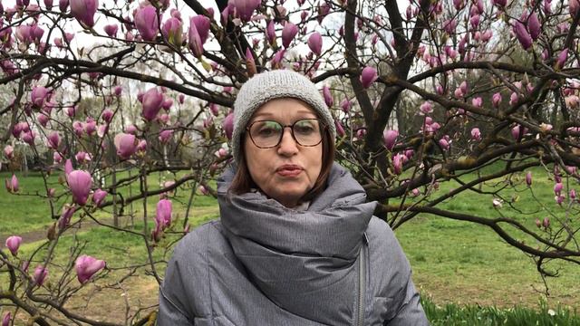 "Аристократка весеннего парка": магнолия смотреть онлайн