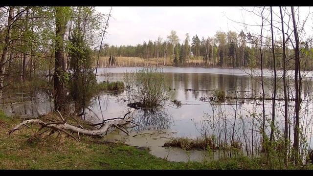 Нива 4х4 2131. К озеру Смердячье. Многоликость озера! смотреть онлайн
