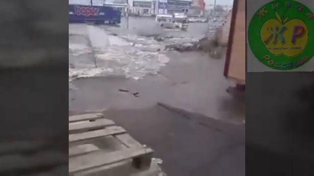 Воронеж, авторынок смотреть онлайн