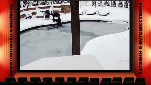 Девушка в ледяном бассейне. Видео с камеры наблюдения. смотреть онлайн