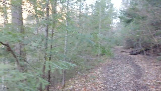 Sheltowee Trace Association Hiker Challenge Section 3 смотреть онлайн