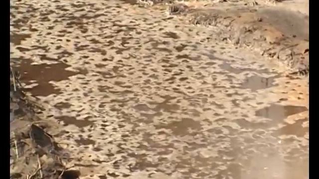 Опрокинулась фура,с соляной кислотой. смотреть онлайн