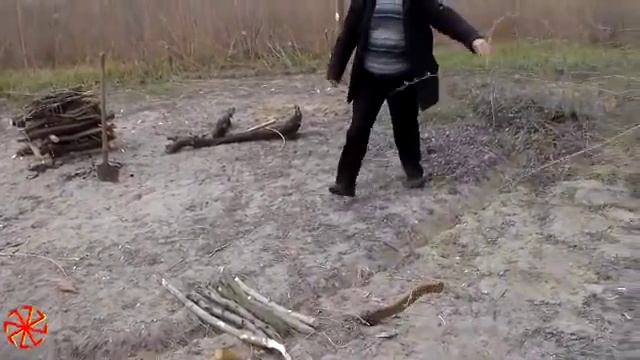 Посадка вербы, подготовка круга смотреть онлайн