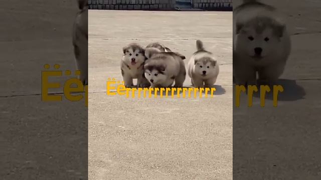 Video-add2c72b21a7bb0e7eac43d1a8dac374-V.mp4