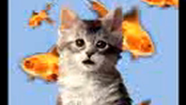 Кот рассказывает стишок про белый порошок! смотреть онлайн