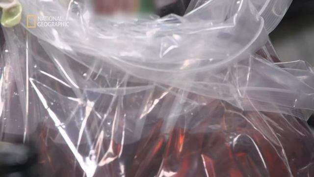 Pasażer miał przy sobie napoje z kokainą [Alarm na lotnisku] смотреть онлайн