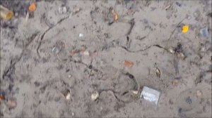 База отдыха Истоки Донецк достопримечательность Ростовская область осенью   Северский Донец пересох