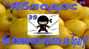 39. «Яблодос». Как измельчить яблоки на брагу?