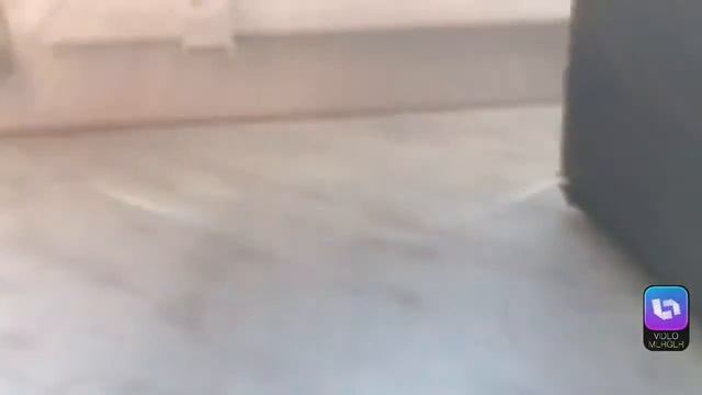 Ручные трещетки 3 Шт. 3/8 1/4 1/2 дюйма .Thumb Wheel Ratchet смотреть онлайн