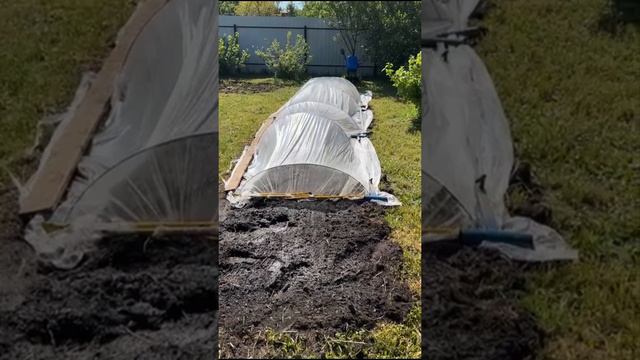 Вырастили с Лентой 2 редиску и ещё что-то смотреть онлайн