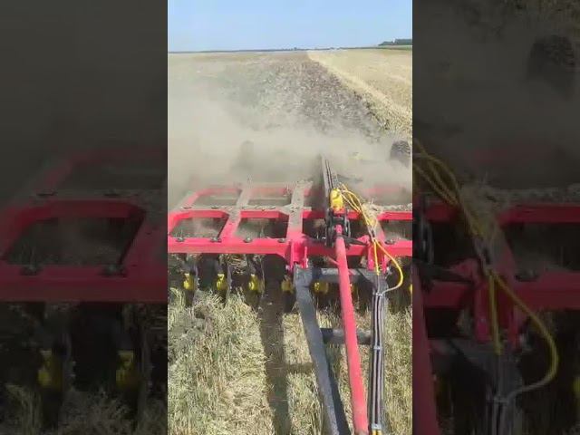 Когда душа радуется! Работа МТЗ -1221 и БДМ-3, 5*3П! #ипсергиенко #трактор #дискатор смотреть онлайн