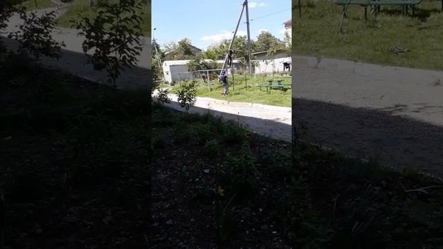 Собака кусает хозяина смотреть онлайн