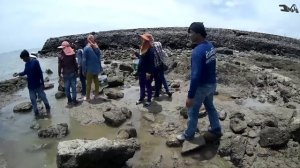 МОРСКИЕ ДЕЛИКАТЕСЫ/ВАНГОМАТ/ОХОТА НА КРАБОВ/ТАЙЦЫ/ОТЛИВ НА МОРЕ/ ОБЕД С ТАЙЦАМИ/ПАТТАЙЯ/