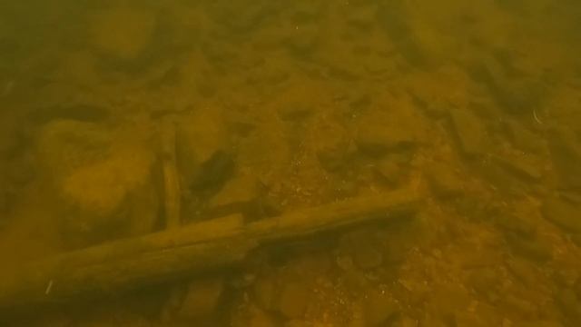 Река Колвица Кандалакшский район Мурманской области Горбуши нет, 07.07.2023 смотреть онлайн