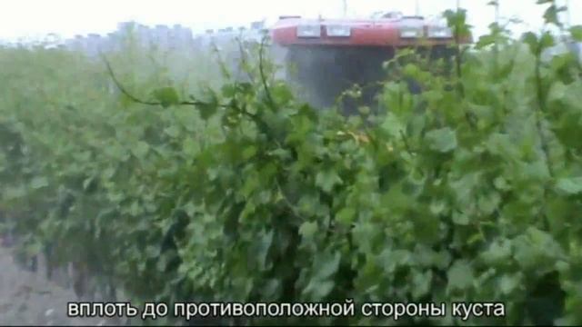 Садовый опрыскиватель "Виктория" 8-918-583-39-47.mp4 смотреть онлайн