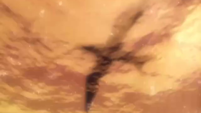 gear 7 смотреть онлайн