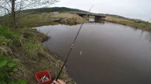 Ловля корюшки на спиннинг