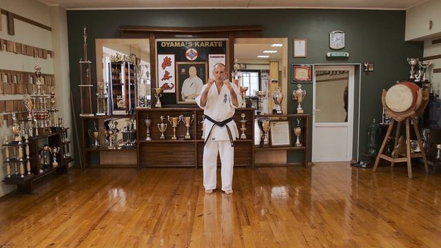 Учебно-методическое пособие для тренеров-преподавателей киокушинкай каратэ Часть 2 смотреть онлайн