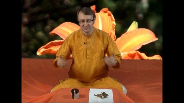 Аюрведа: Кутки и печень (Роберт Грислис) 8 урок смотреть онлайн