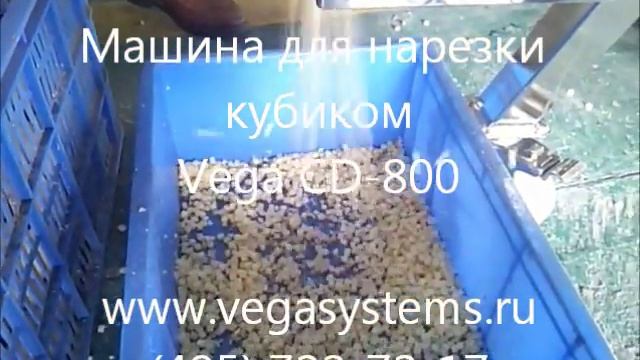 Машина для нарезки кубиком Vega CD-800.wmv смотреть онлайн