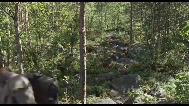 (GULAGDAN QOCHISH) YNGI KINO O'ZBEK TILIDA смотреть онлайн