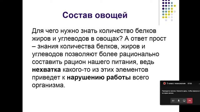 5 класс . Технология. Составляющие овощей. Белки. Жиры. Углеводы смотреть онлайн