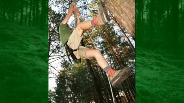 Tree Removal Oracle AZ | 520-201-4997 | Oracle Tree Removal Service смотреть онлайн