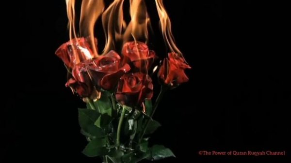 Ultimate Ruqyah to Break&Return the Black magic on Magicians&Burn the Slaves(Devils)of the Magic