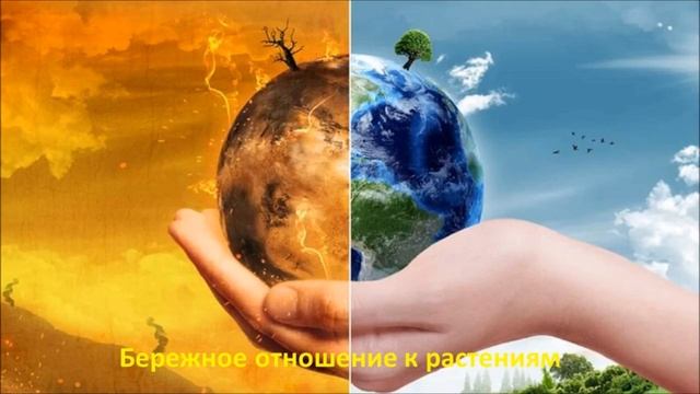 Экология презентация Киселевой смотреть онлайн
