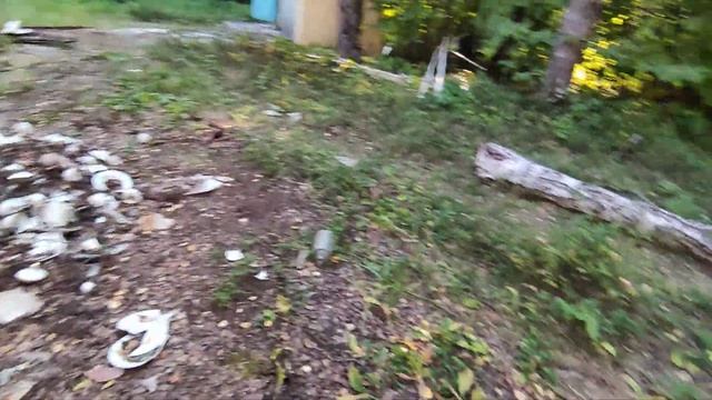 заброшенный лагерь Лененец смотреть онлайн