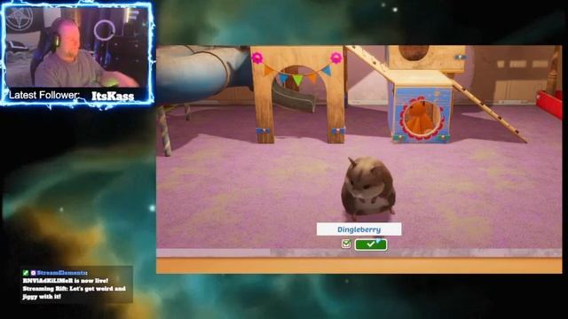 Hamster Playground - I FINALLY WON... AFTER RAGE!!!! смотреть онлайн