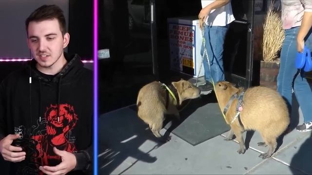 Rarest Pets Ever!