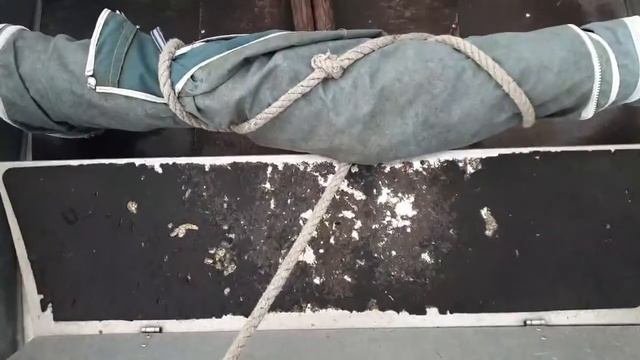 Buster RS 91vm + Honda BF50 04vm