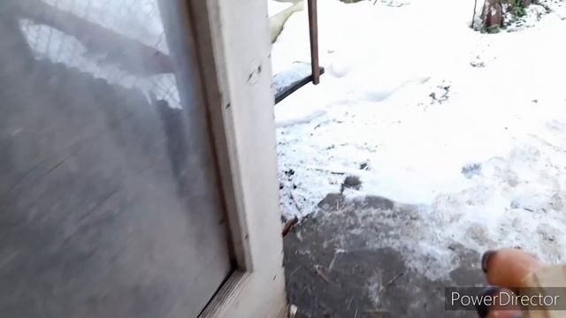 Деревенский Старый Способ для Увеличения Яйценоскости Кур//Странный Снег!//В Деревню! смотреть онлайн