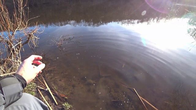Лучшая снасть для рыбалки с берега на джиг весной смотреть онлайн