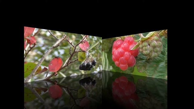 Тест Panasonic HC-V230. Тестирование макро видео смотреть онлайн