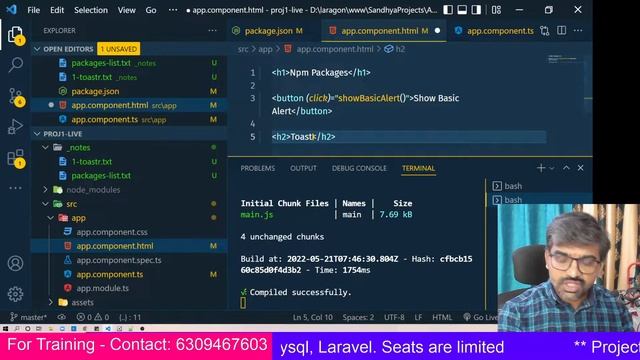 ANGULAR TOASTR PACKAGE IN TELUGU смотреть онлайн