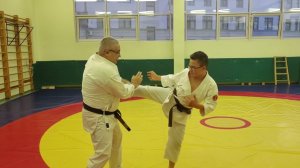4 ¦ Reiseinin ryu Aikijutsu 2024 ¦ 5 kyu ¦ light blue belt