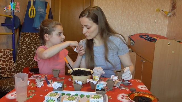 Акция плантация Лента. Как сажать растения смотреть онлайн