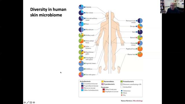 11-10-20 Human microbiome part 2 смотреть онлайн