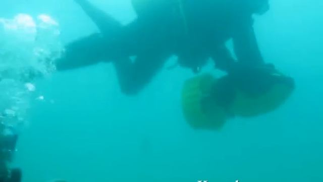 Бухта Казачья, Севастополь. смотреть онлайн