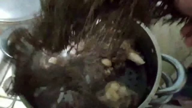 Archa Kabob | Archa Kebab | Uy Sharoitida Tez, Oson Va Arzon Archa Kabob Tayyorlash