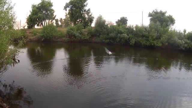 аэроглиссер из потолочки смотреть онлайн