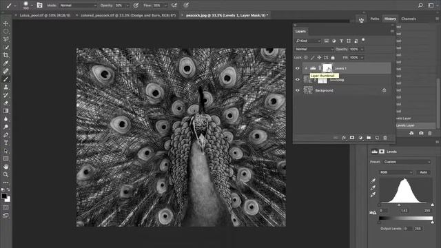 Sculpting, Dodge Burn and Hand Tinting an Image смотреть онлайн