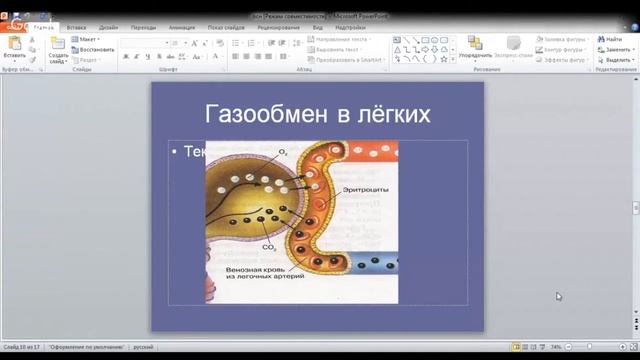 ЕГЭ по биологии 11 класс Занятие 28 Дыхательная система человека смотреть онлайн